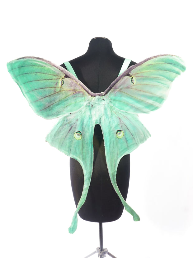 The Luna Moth Wing