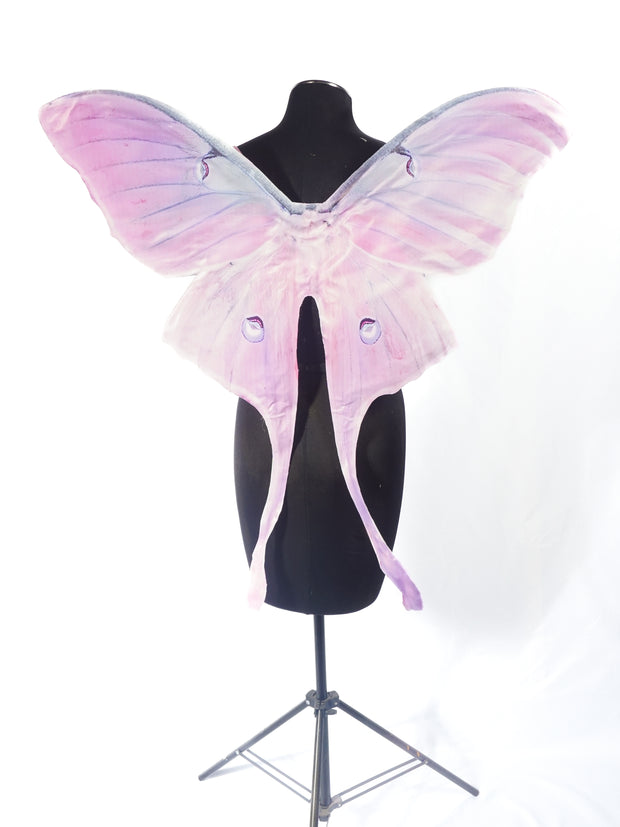 Pink Luna Moth Mini Wing