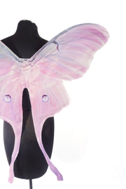 Pink Luna Moth Mini Wing