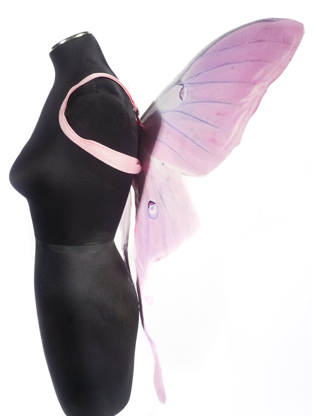 Pink Luna Moth Mini Wing