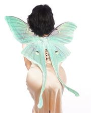 The Luna Moth Wing