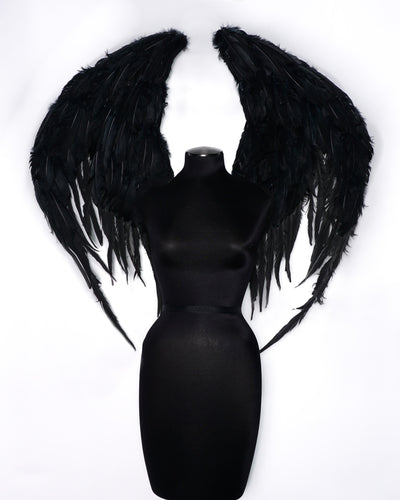 The Black Arc Angel Wing