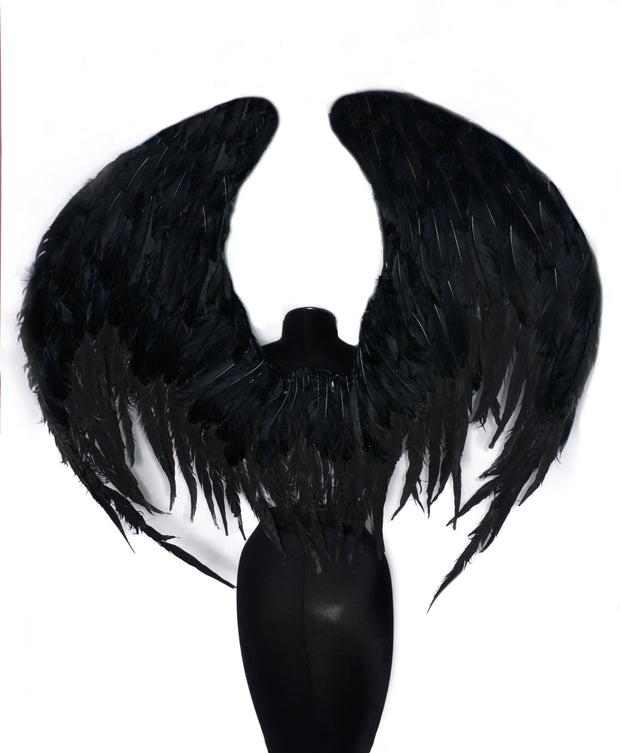 The Black Arc Angel Wing