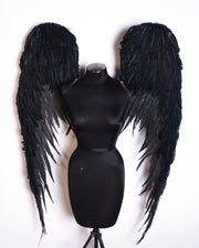 The Black Holy Angel Wing