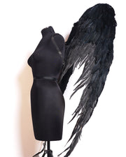 The Black Holy Angel Wing