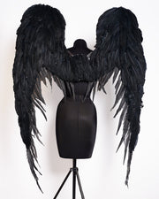 The Black Holy Angel Wing