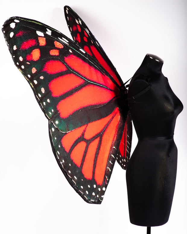 Large Red Monarch Wing